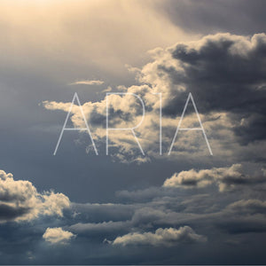 ARIA INSTRUMENTS